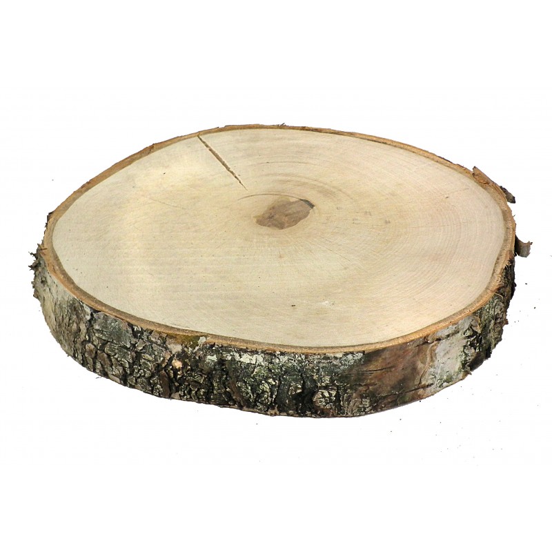 WOODEN SLICE 20-25CM THICKNESS 4CM